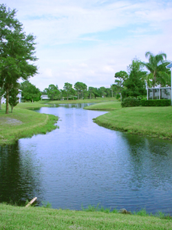 pond algea, bioremediation